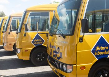 Roban batería de tres autobuses del TRAE en Constanza