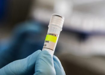 Primer contagio de hantavirus en crucero no pudo haber sido a bordo o en escala, según OMS