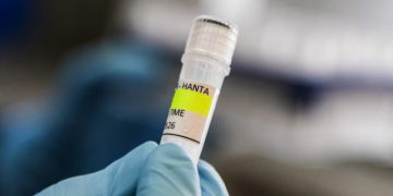 Primer contagio de hantavirus en crucero no pudo haber sido a bordo o en escala, según OMS