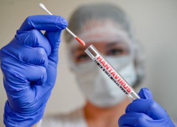 La OMS advierte de que el hantavirus es altamente contagioso al inicio de la enfermedad