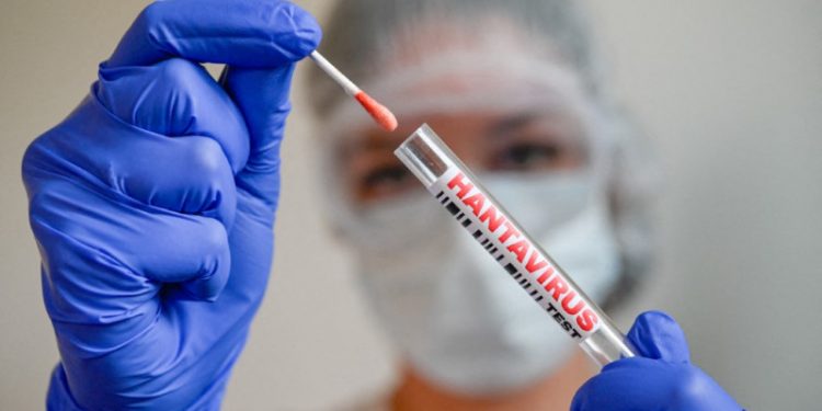 La OMS advierte de que el hantavirus es altamente contagioso al inicio de la enfermedad