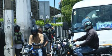 Regulaciones de montoconchos: la deuda pendiente que aún evaden las autoridades