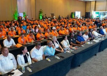 PRM presentará "plancha unitaria" en proceso eleccionario de Fedodim