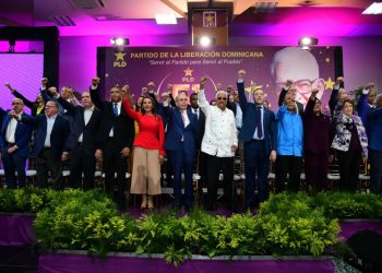 La “consulta” del PLD otra vez en el centro del debate político