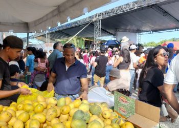 Feria del Mango en Baní rompe récord de asistencia en su segundo día