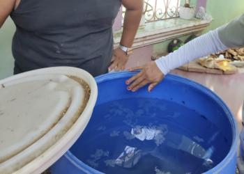 Salud Pública reporta 10 nuevos casos de dengue en la última semana