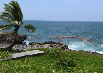 Rasgos de sargazo comienzan a observarse en aguas del Malecón de Santo Domingo