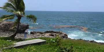 Rasgos de sargazo comienzan a observarse en aguas del Malecón de Santo Domingo