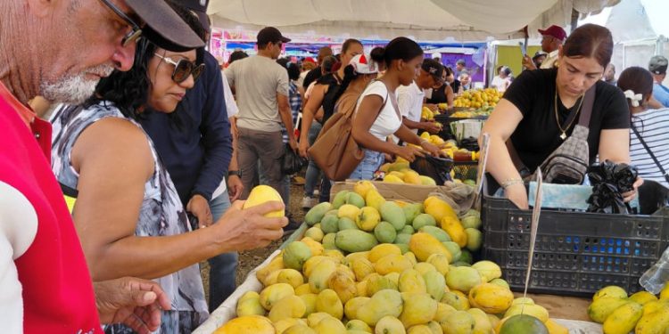 Cierran con éxito la XXI versión de la Feria del Mango Banilejo