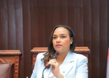Por ruido de los diputados, detienen lectura de proyecto de ley que aumentaría impuestos