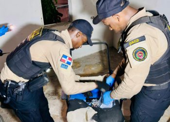 Nueve detenidos y 7,573 gramos de drogas incautadas durante operativos en SDO