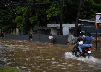 Se reportan 196 casos de leptospirosis en lo que va de año