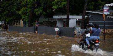 Se reportan 196 casos de leptospirosis en lo que va de año