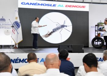 Salud Pública relanza campaña contra el dengue