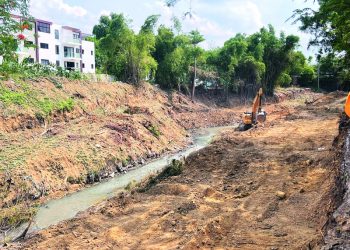 Ambientalistas piden preservar la cobertura boscosa en construcción de parque en Santiago