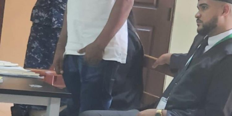 Tribunal de Ocoa condena a joven a 6 meses de prisión por robo de 32 aguacates