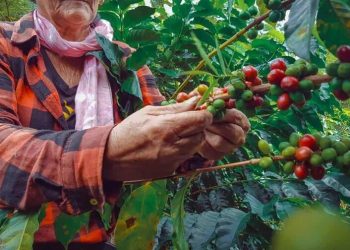 Elías Piña: la frontera también puede producir futuro