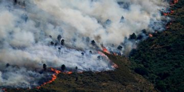 Los incendios en España han afectado a zonas protegidas que tardarán años en recuperarse
