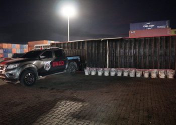 DNCD incauta 303 paquetes de presunta cocaína ocultos en el piso de un contenedor en Caucedo