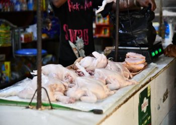 Brasil propone a RD apostar por nichos para impulsar exportaciones de carne