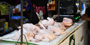 Brasil propone a RD apostar por nichos para impulsar exportaciones de carne