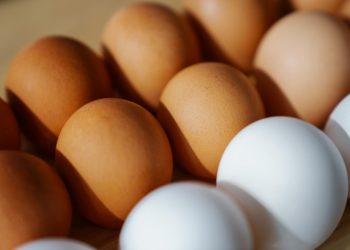 Retiran 19 millones de huevos en EEUU por riesgo mortal