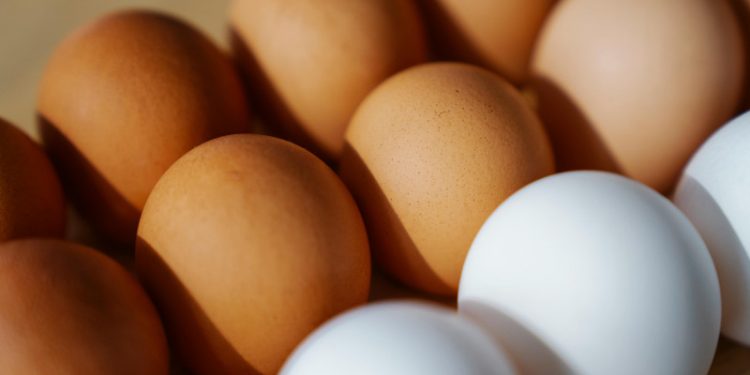 Retiran 19 millones de huevos en EEUU por riesgo mortal