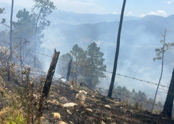 Autoridades de Medio Ambiente en Ocoa identifican a los causantes de incendios forestales