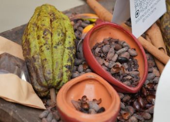 Cacao dominicano mueve US$669 millones en exportaciones
