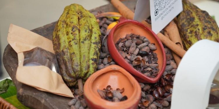 Cacao dominicano mueve US$669 millones en exportaciones