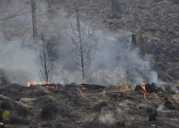 Brigadas luchan contra fuego en el Parque Nacional Valle Nuevo