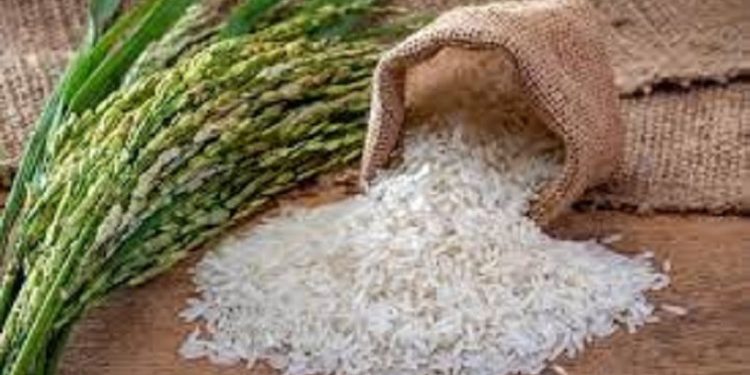 Experta sugiere cumplir con el DR-Cafta y definir medidas de apoyo a los arroceros
