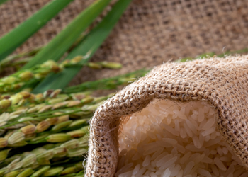 Conep ve espacio para el diálogo con Estados Unidos sobre el arroz