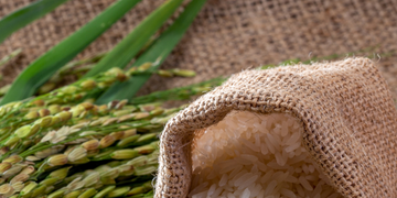 Conep ve espacio para el diálogo con Estados Unidos sobre el arroz