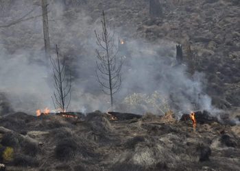 Ambientalistas valoran decreto contra “terrorismo ambiental”