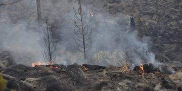 Ambientalistas valoran decreto contra “terrorismo ambiental”