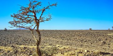 RD enfrentará riesgo moderado pero persistente por El Niño