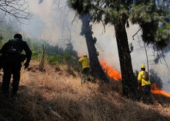 Exigen enfrentar desde el Gobierno “terrorismo ambiental”