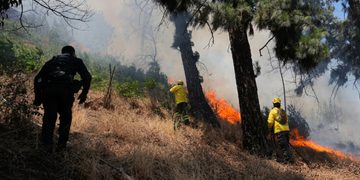Exigen enfrentar desde el Gobierno “terrorismo ambiental”