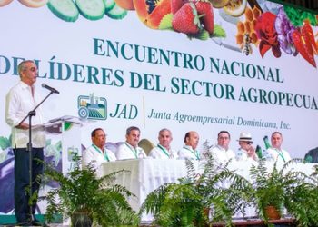 Abinader informa negociaciones con el Gobierno de EEUU para proteger la producción nacional de arroz