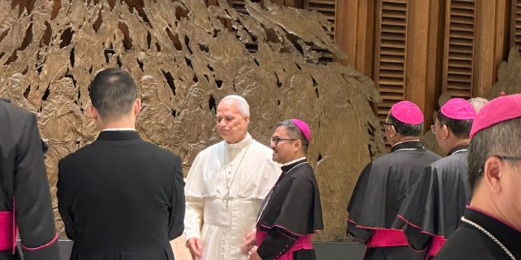 Obispos dominicanos participan en audiencia con papa León XIV
