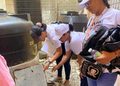 El país registra 50% más casos de dengue este año