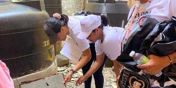 El país registra 50% más casos de dengue este año