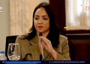 Faride Raful: disminución en tasa de homicidios no significa que la gente deba sentirse más segura