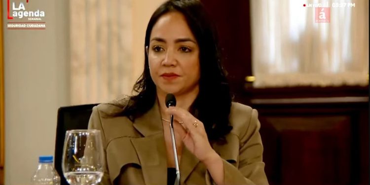 Faride Raful: disminución en tasa de homicidios no significa que la gente deba sentirse más segura