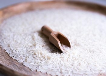 Gobierno dominicano: proteger el arroz ante EE.UU. es una "cuestión de seguridad nacional"