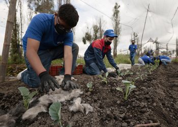 El cabello reciclado: una herramienta ambiental en México