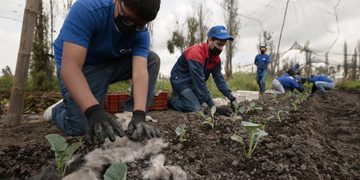 El cabello reciclado: una herramienta ambiental en México