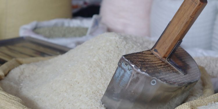 Sector arrocero muestra preocupación ante derogación de aranceles a la importación de arroz