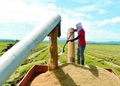 Economista sugiere transparentar importaciones de arroz y elevar la productividad